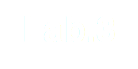 Lab.3